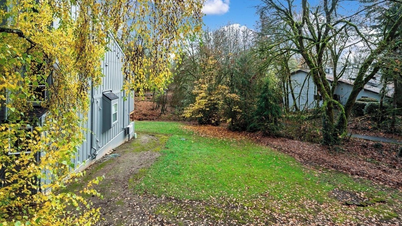 Photo of Outdoor in Mount Park