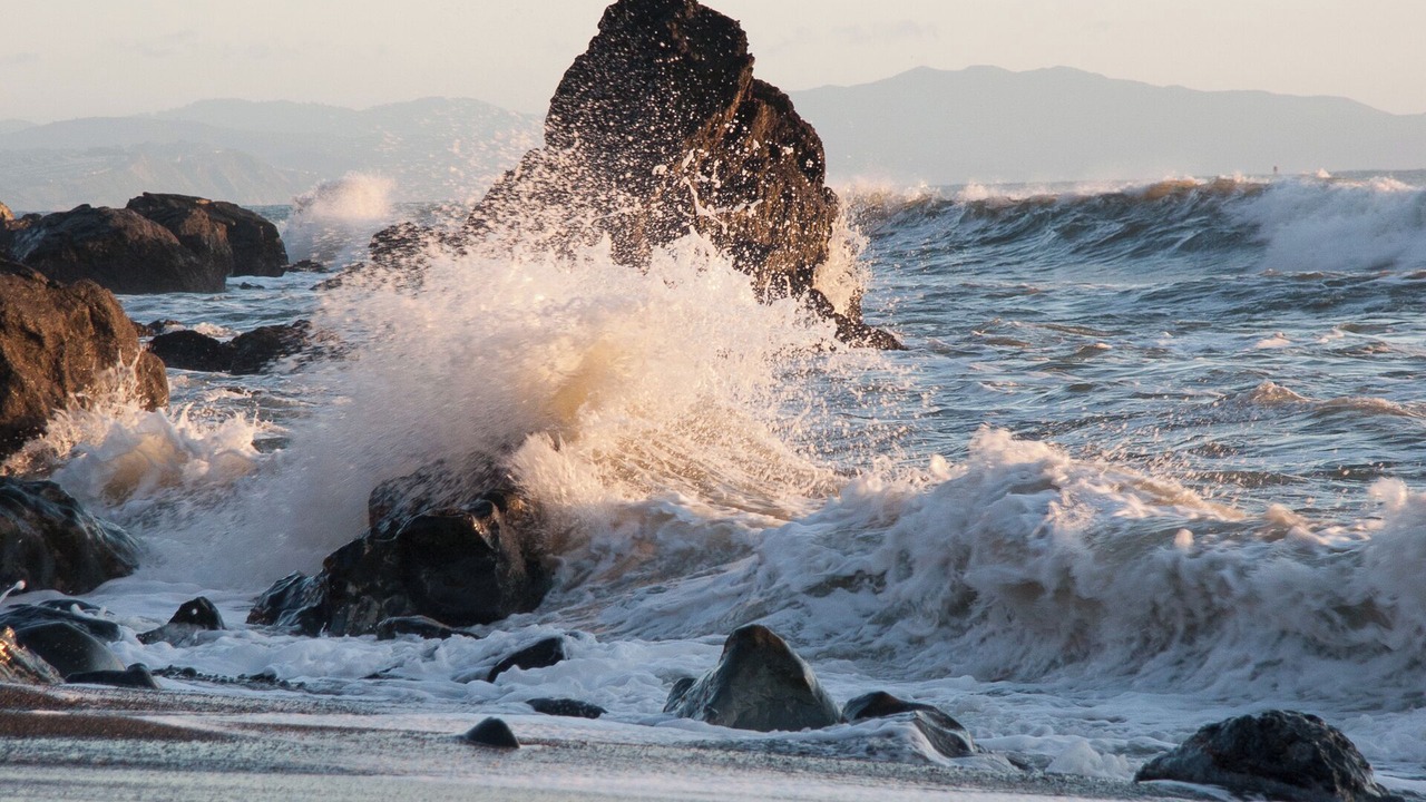 Photo of Others in Muir Beach