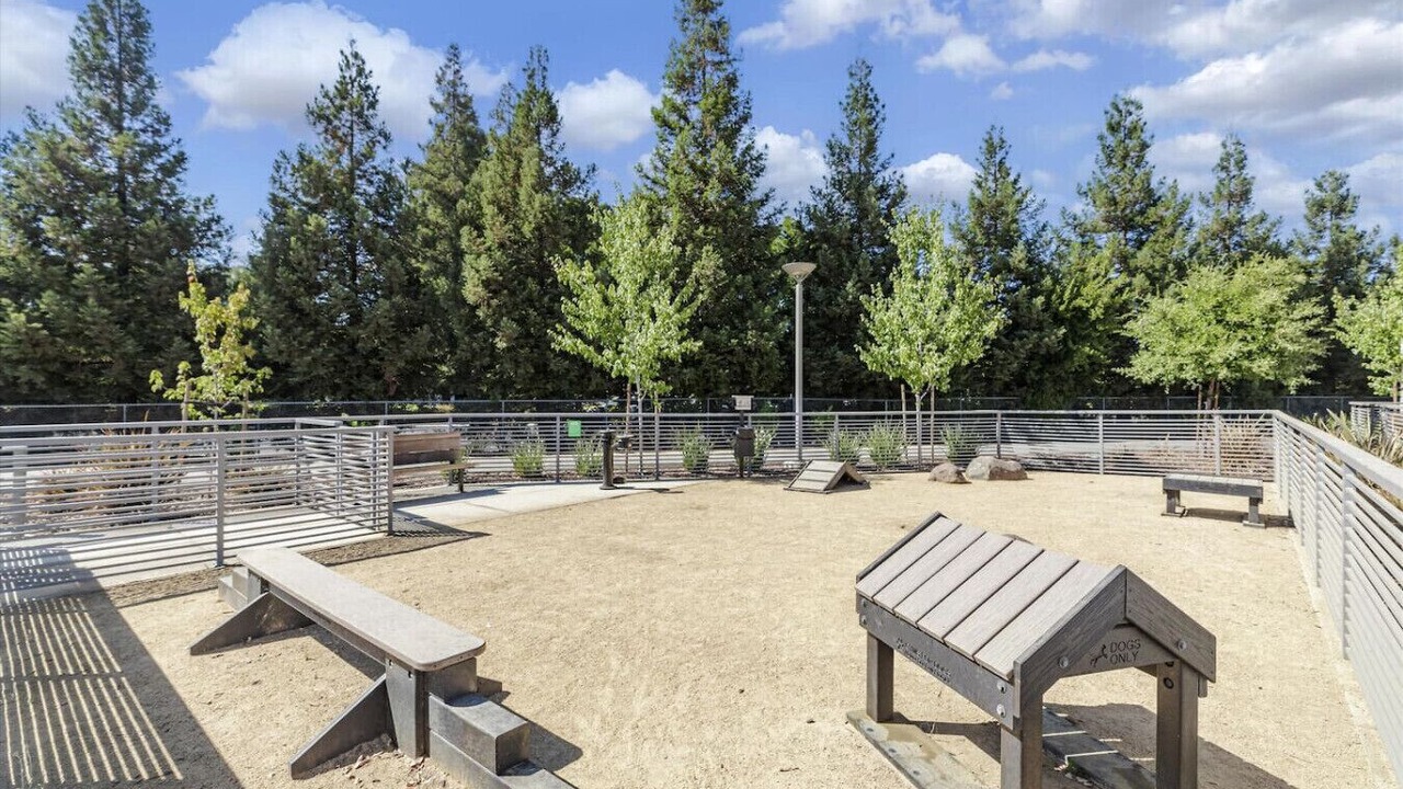 Photo of Outdoor in Edenvale