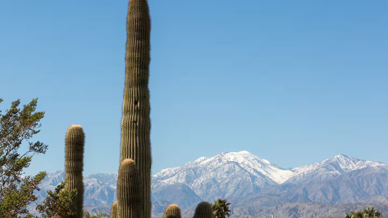 Photo of Others in Desert Hot Springs