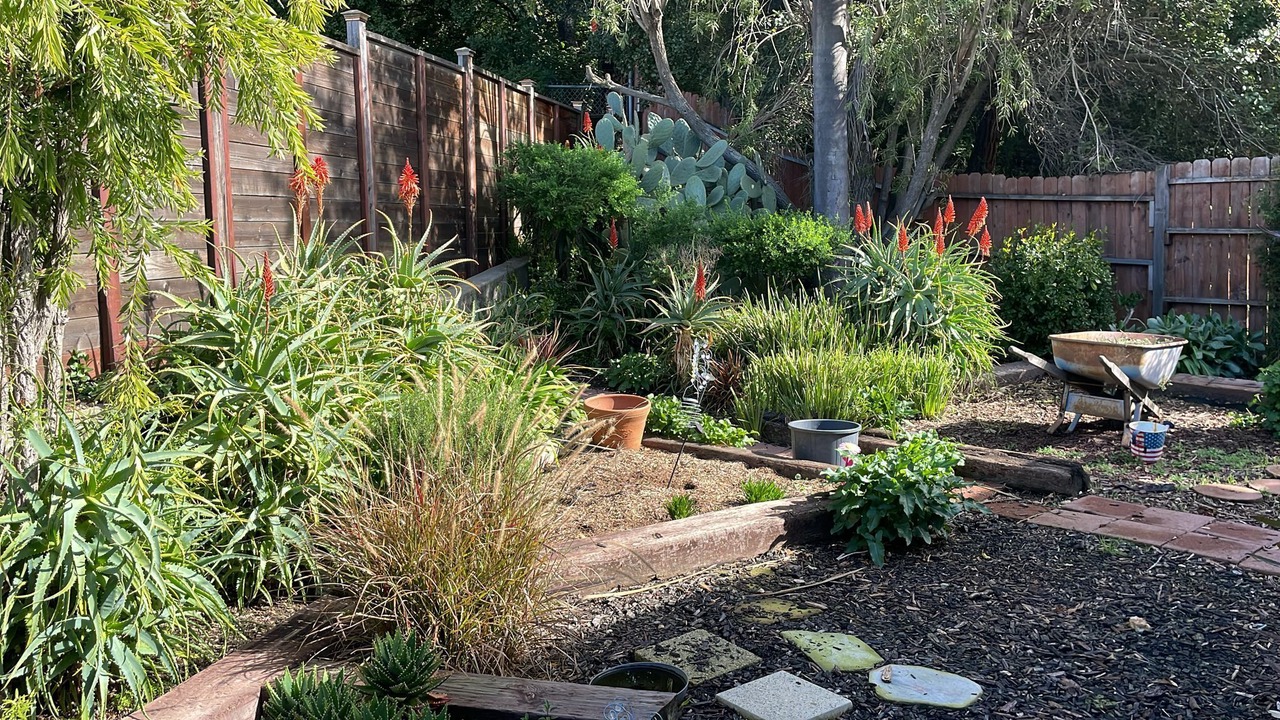 Photo of Outdoor in Oakland