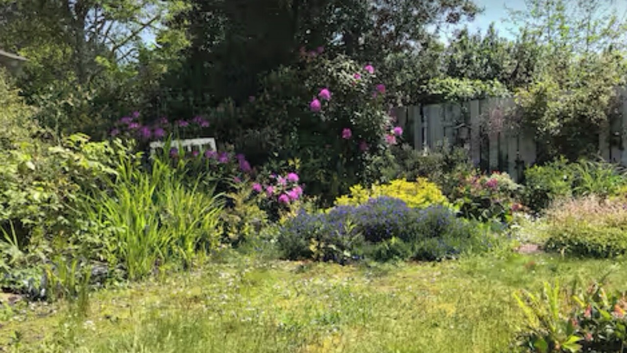 Photo of Outdoor in Lincoln Beach