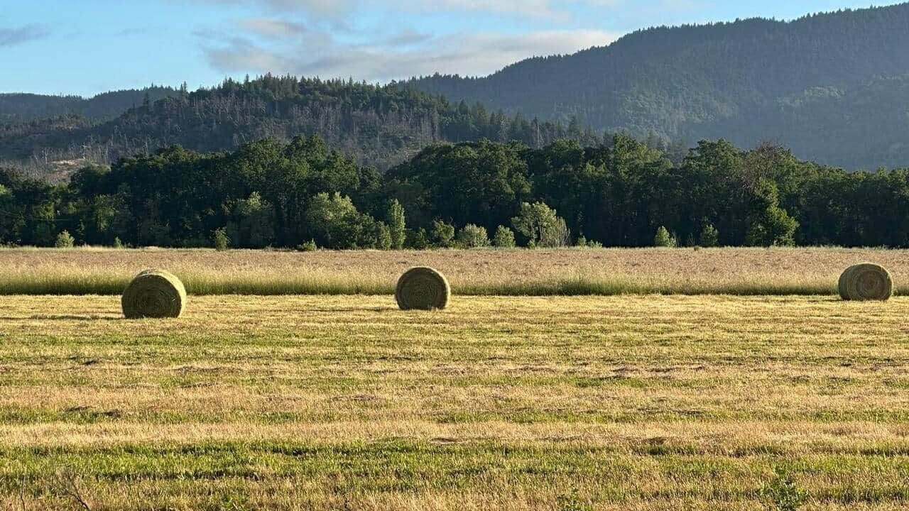 Photo of Others in Covelo