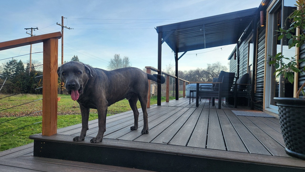 Photo of Patio Balcony in Covelo