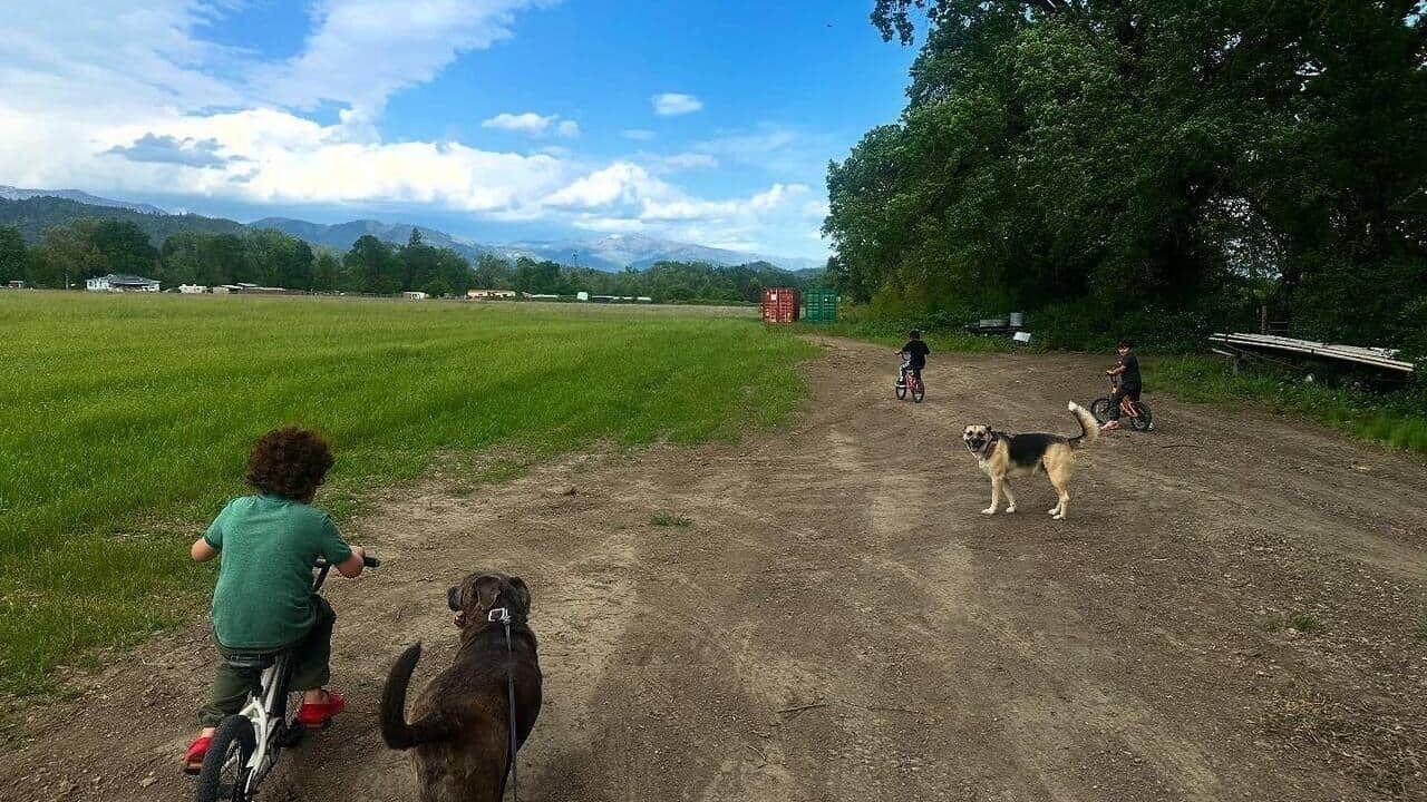 Photo of Others in Covelo