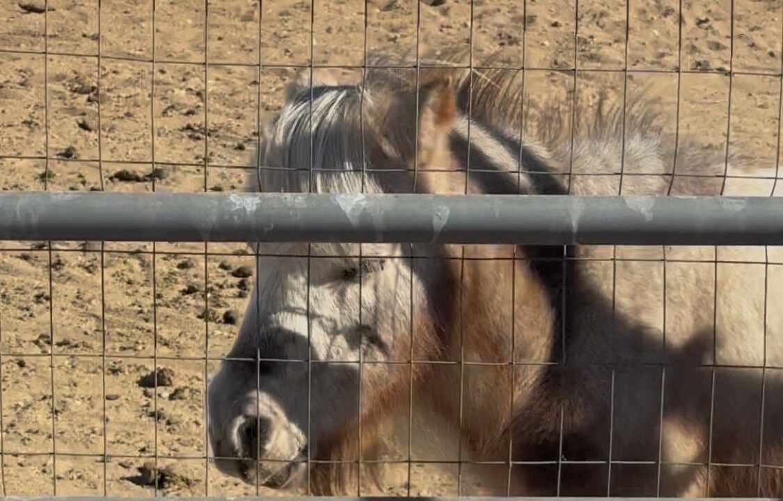 Photo of Others in Kingman