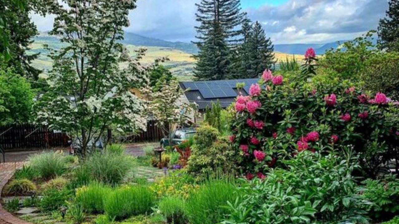 Photo of Others in Siskiyou-Hargadine Historic District