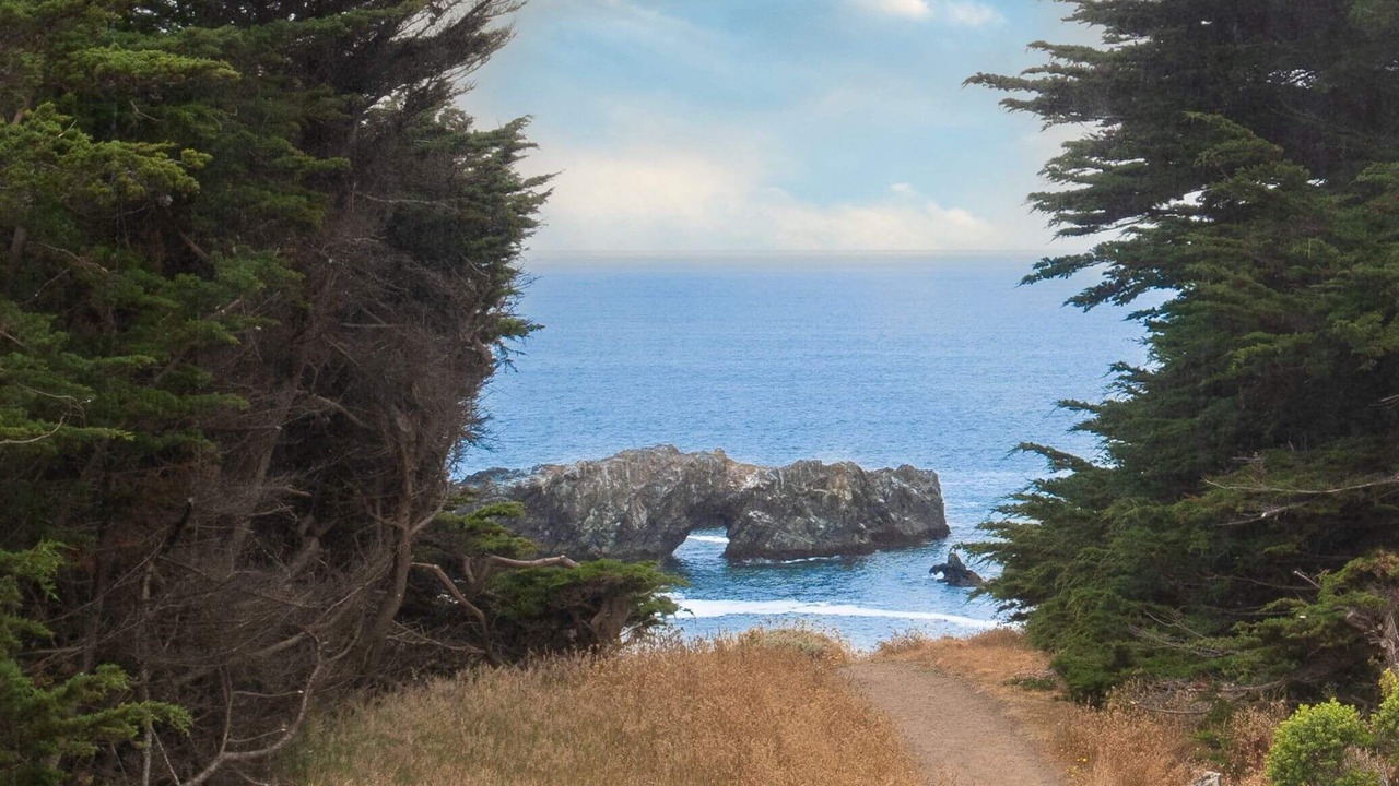 Photo of Others in Sea Ranch