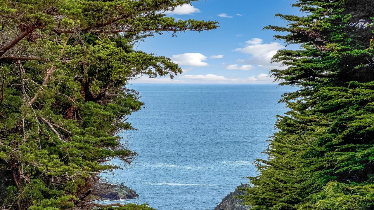 Photo of Others in Sea Ranch