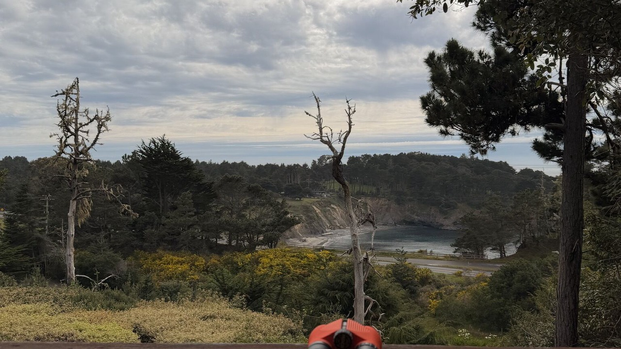 Photo of Outdoor in Mendocino