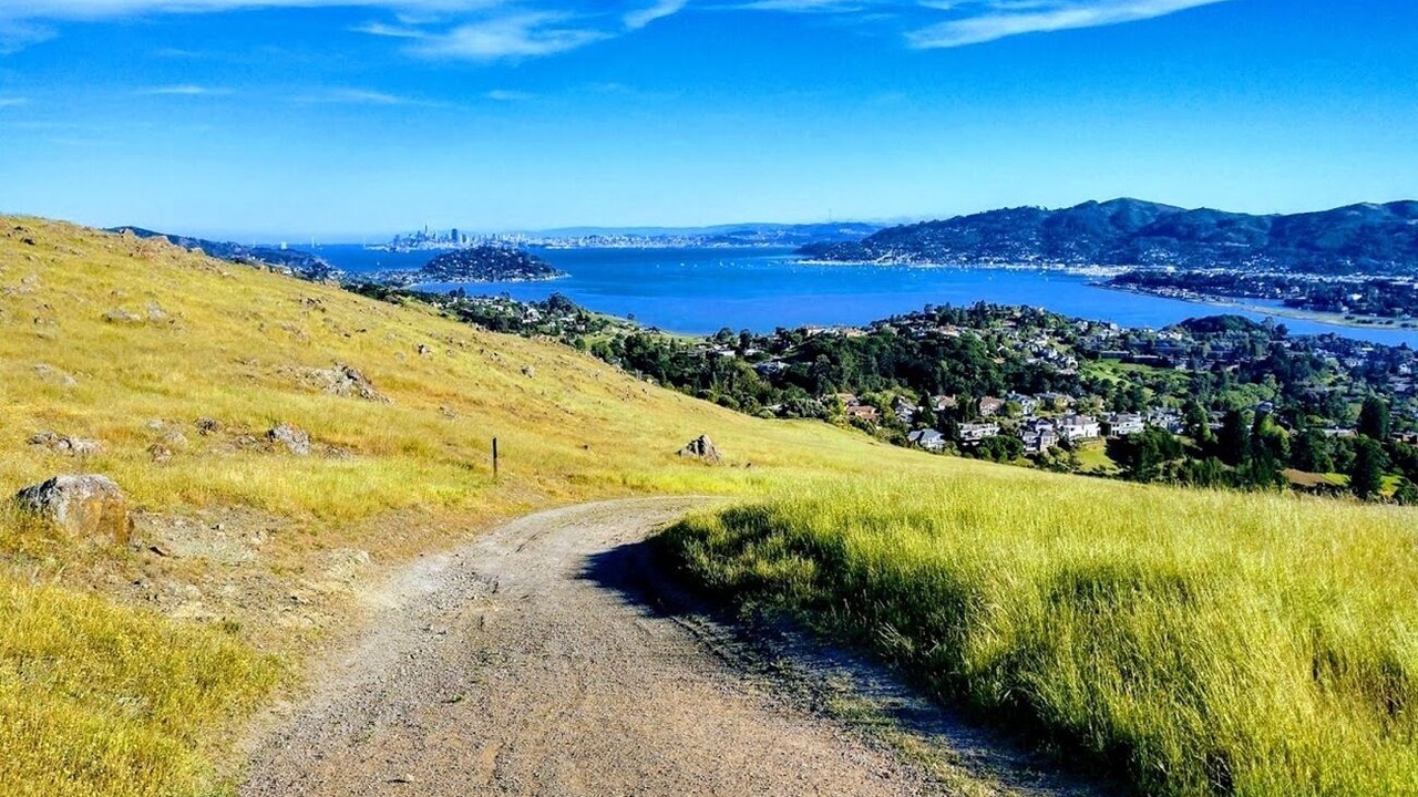 Photo of Others in Corte Madera