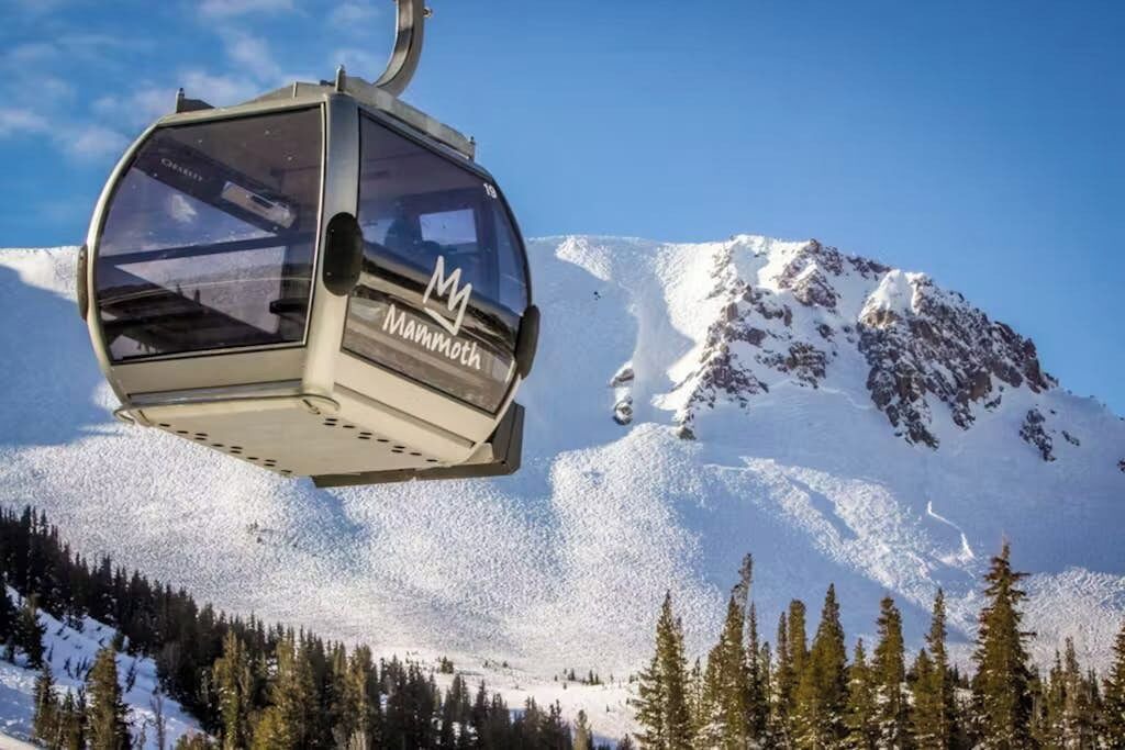 Photo of Others in Majestic Pines