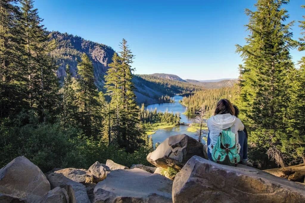 Photo of Others in Majestic Pines
