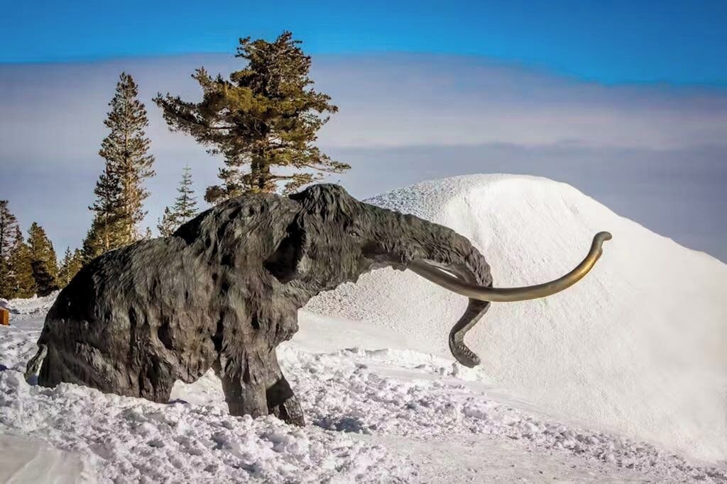 Photo of Others in Majestic Pines
