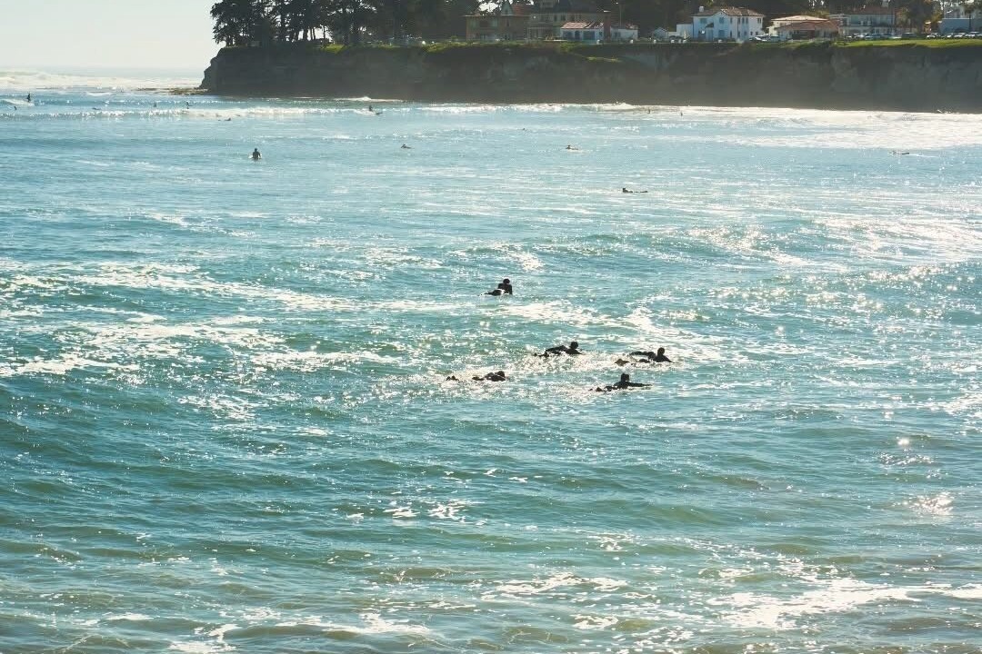 Photo of Others in Westside Santa Cruz