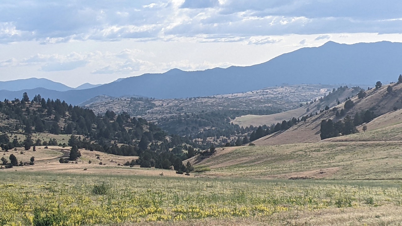 Photo of Others in Hornbrook