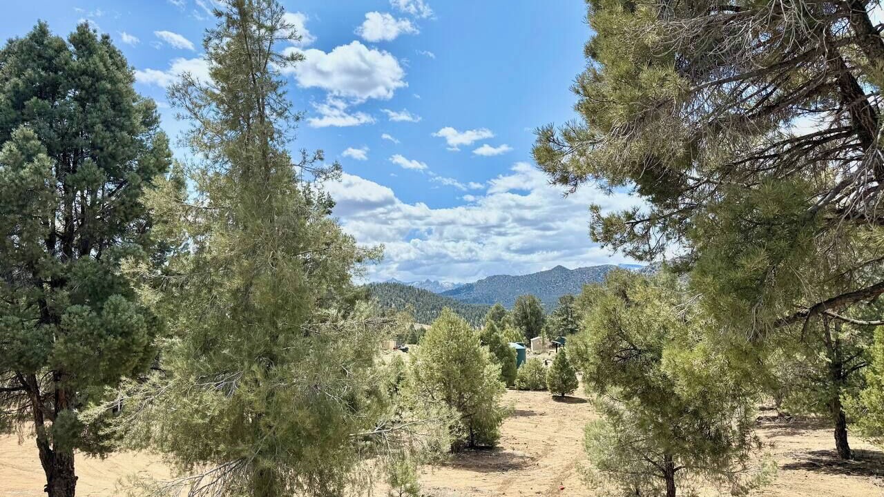Photo of Others in Inyokern
