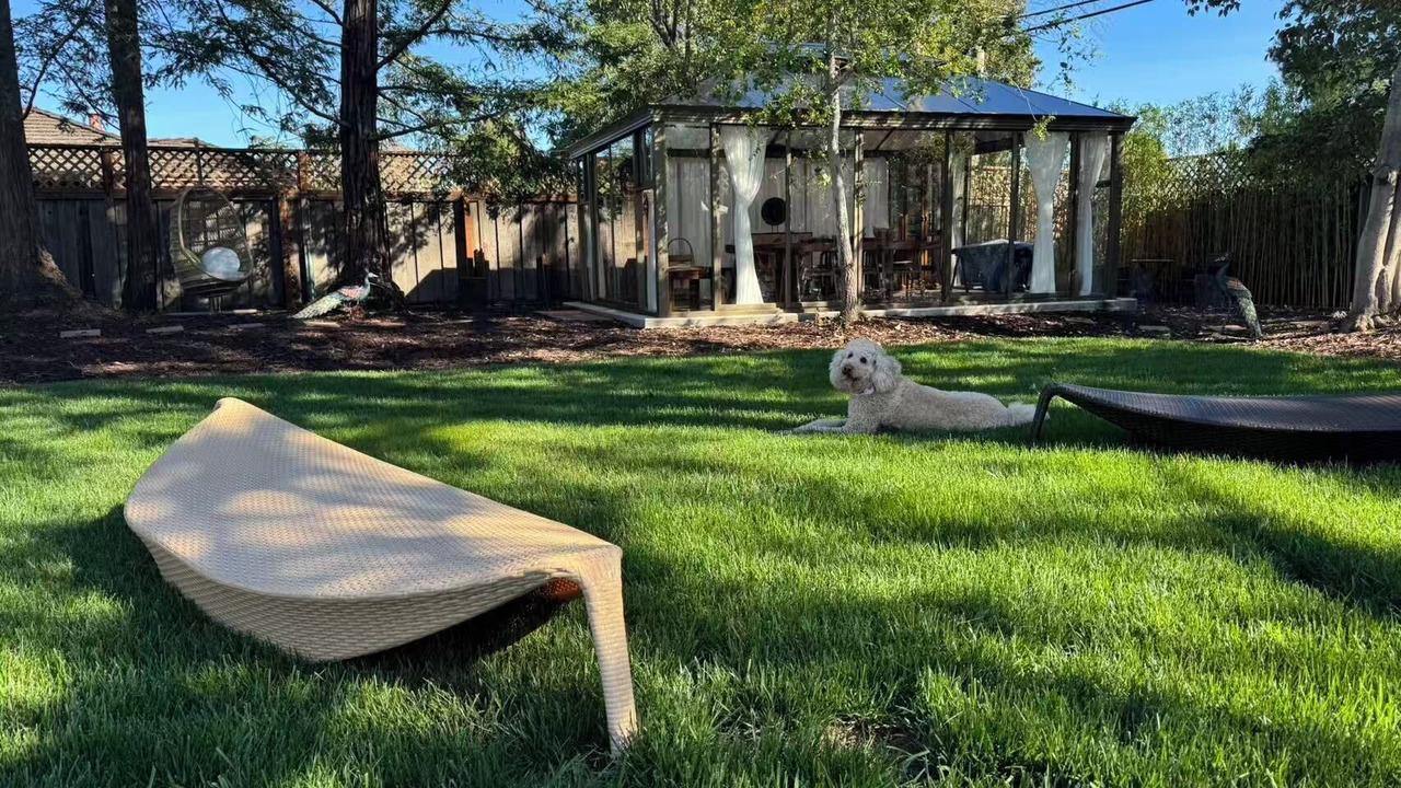 Photo of Outdoor in Cupertino
