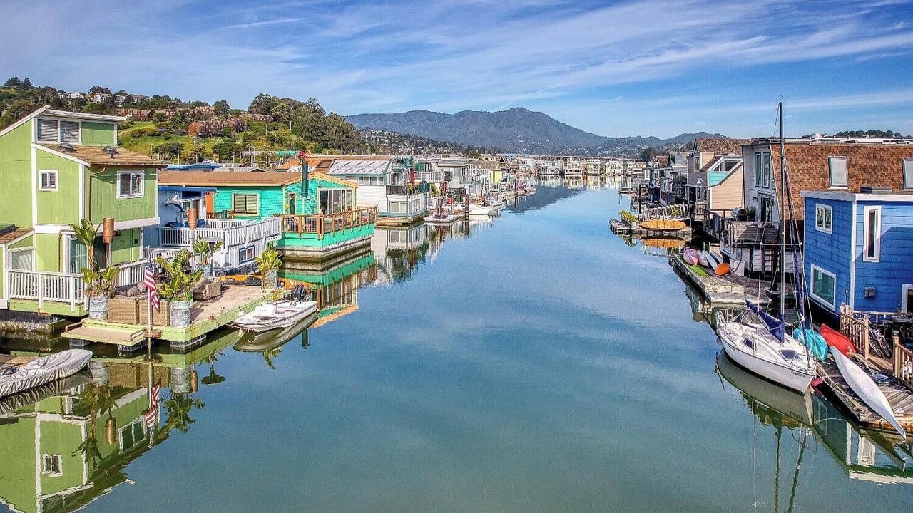 Photo of Others in Marin City