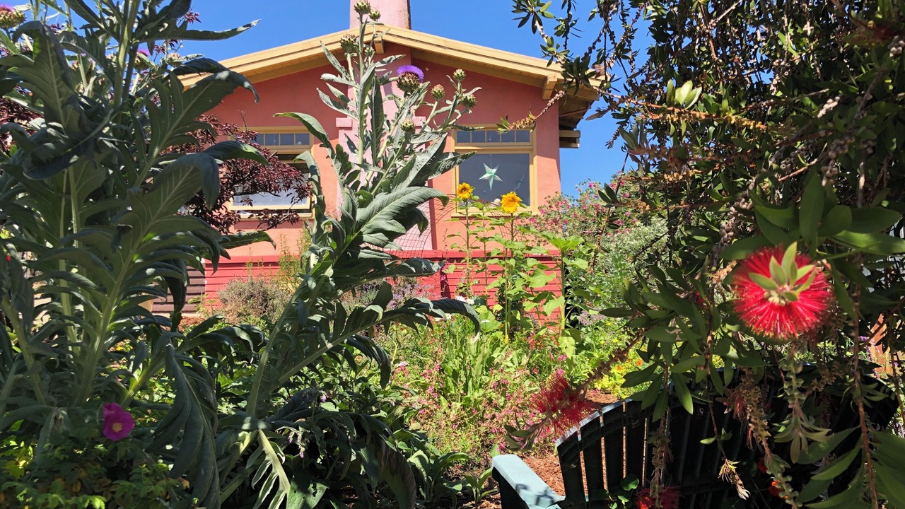 Photo of Outdoor in Ingleside Terraces