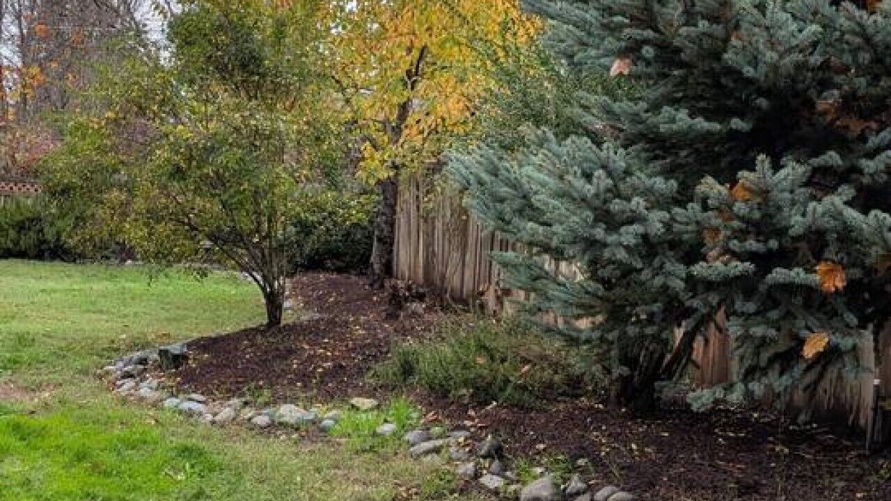 Photo of Outdoor in Grants Pass