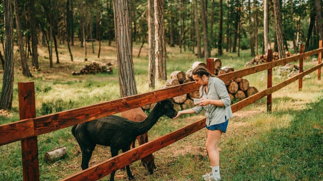 Photo of Others in Grants Pass