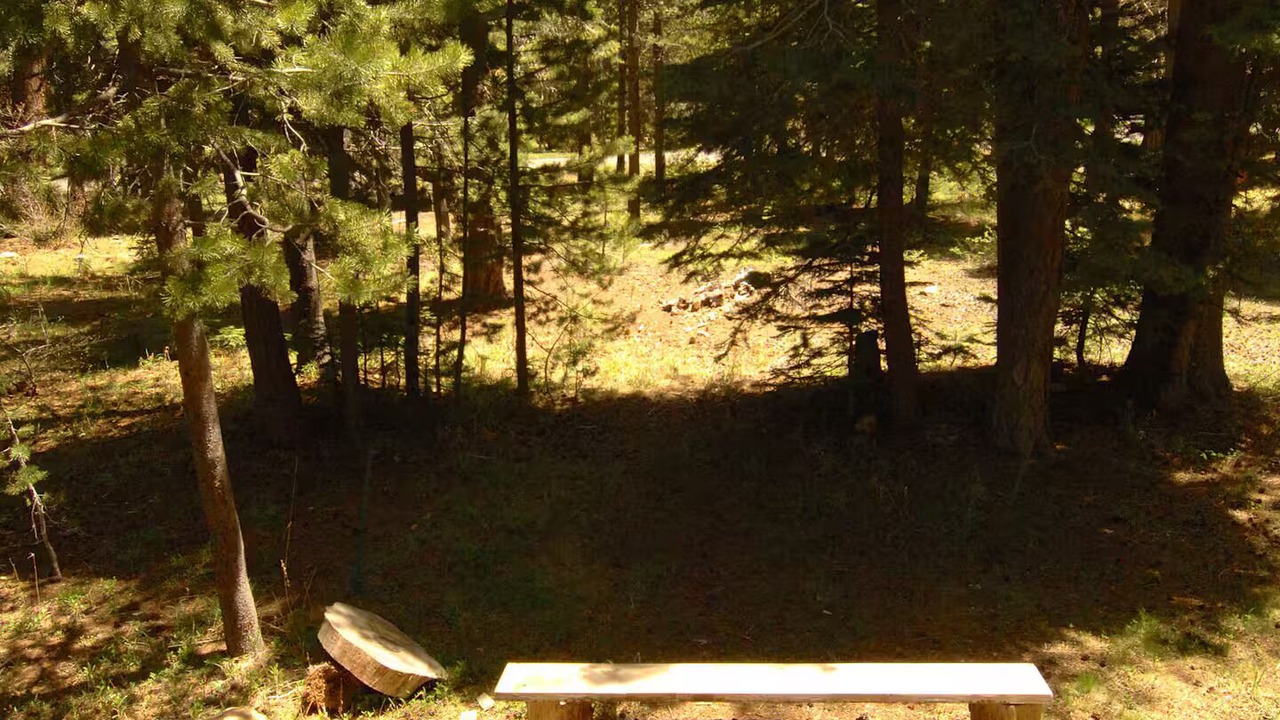 Photo of Outdoor in Tahoma