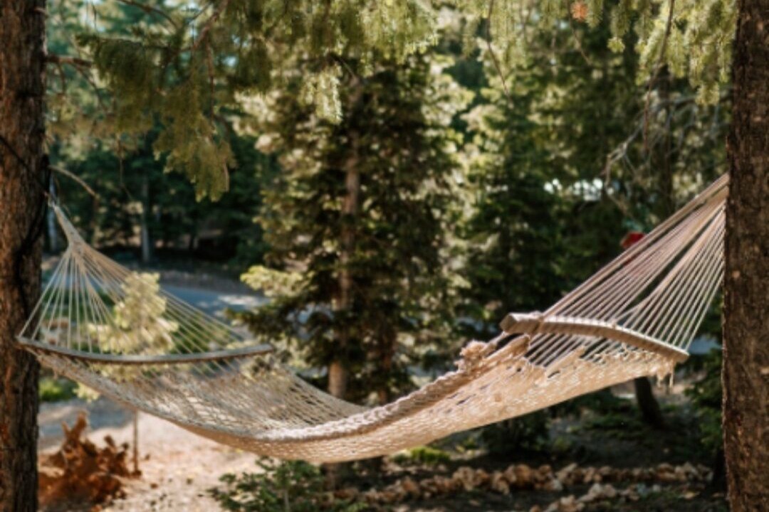 Photo of Outdoor in Meadow View Heights