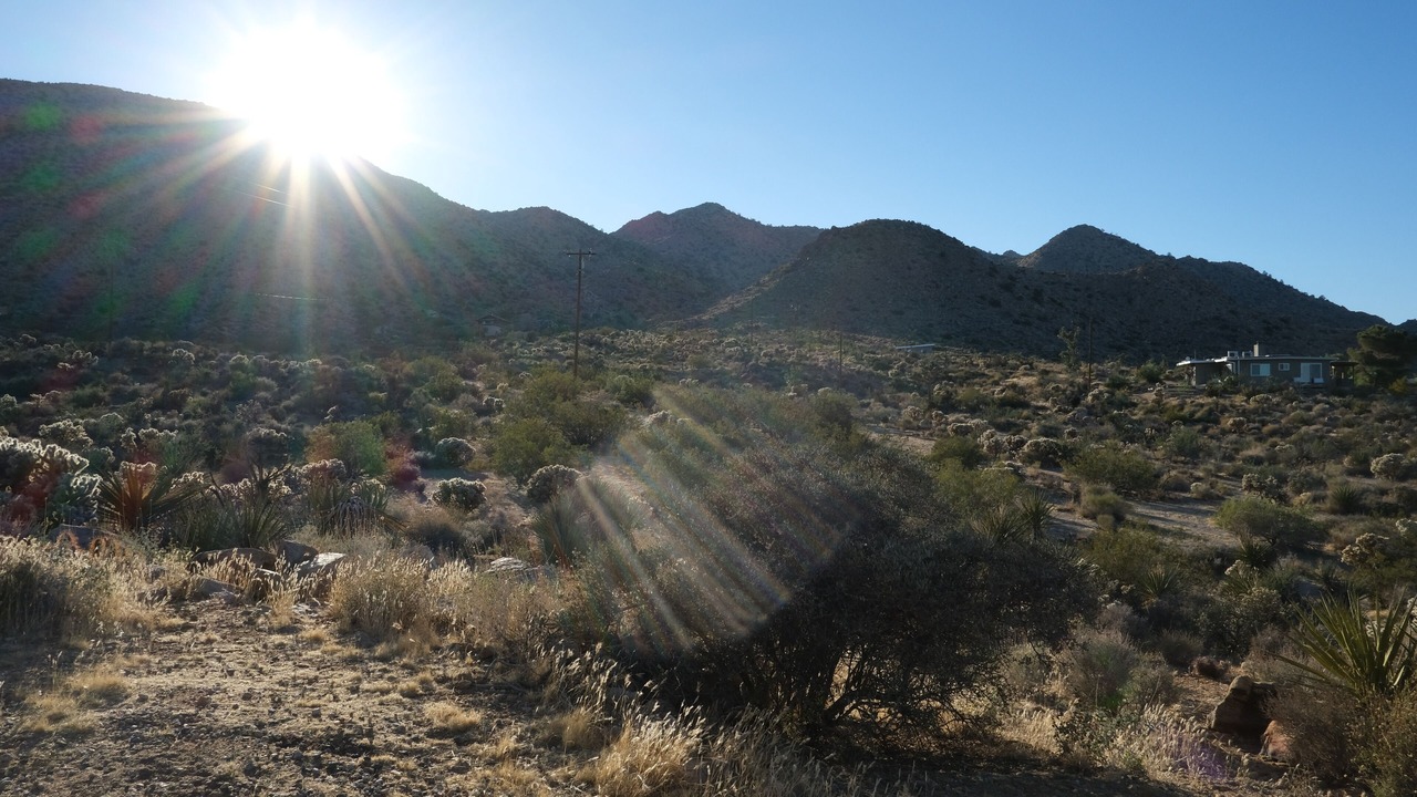 Photo of Others in Joshua Tree Highlands