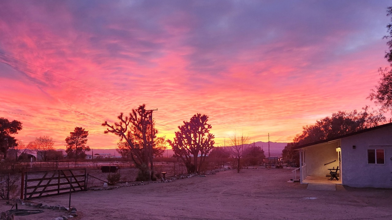 Photo of Others in Dolan Springs
