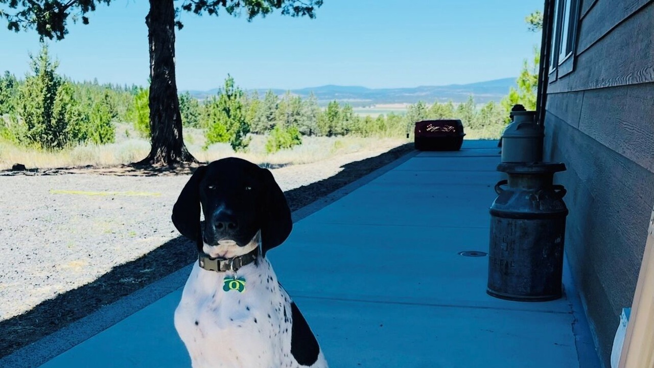 Photo of Outdoor in Bonanza