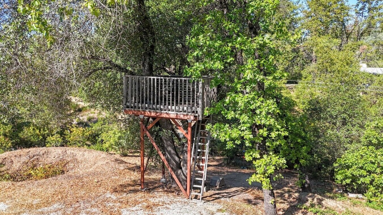 Photo of Outdoor in Redding