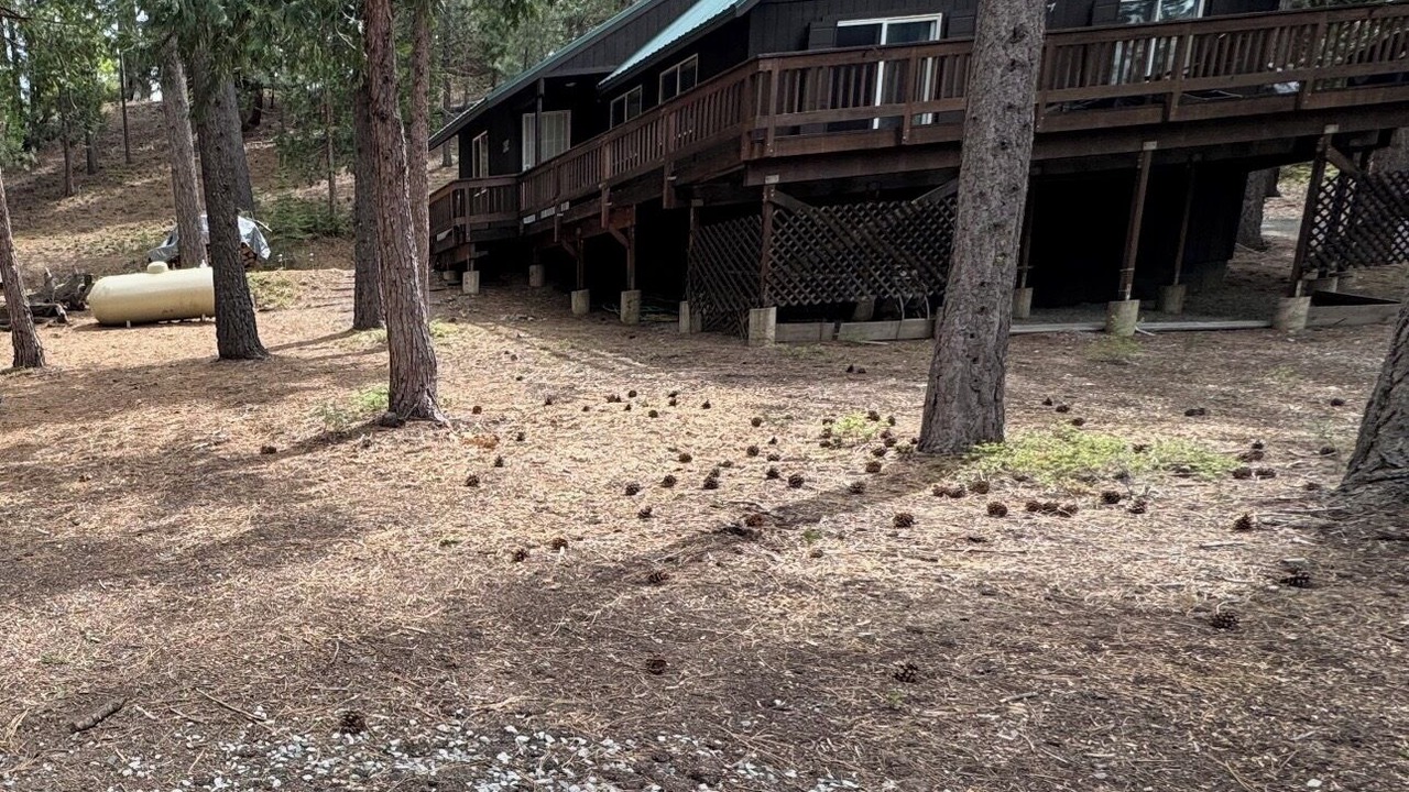 Photo of Outdoor in Lake Davis