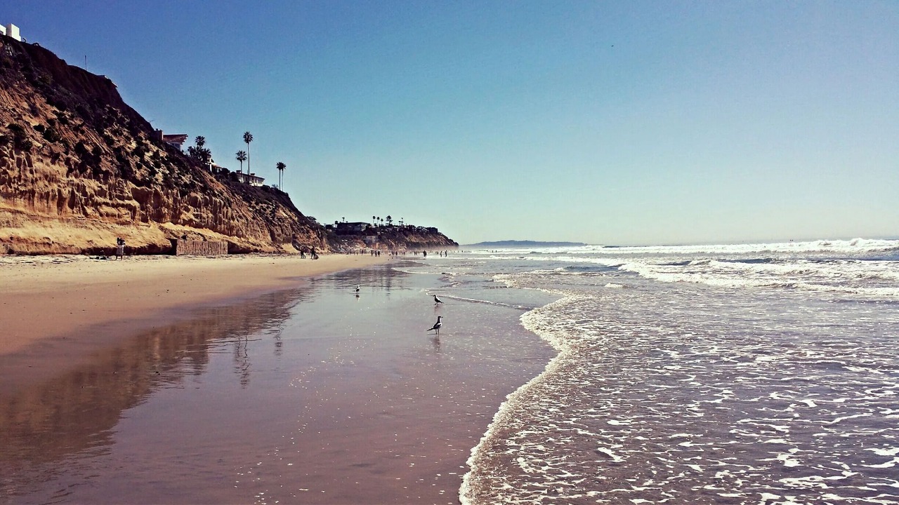 Photo of Others in Carlsbad