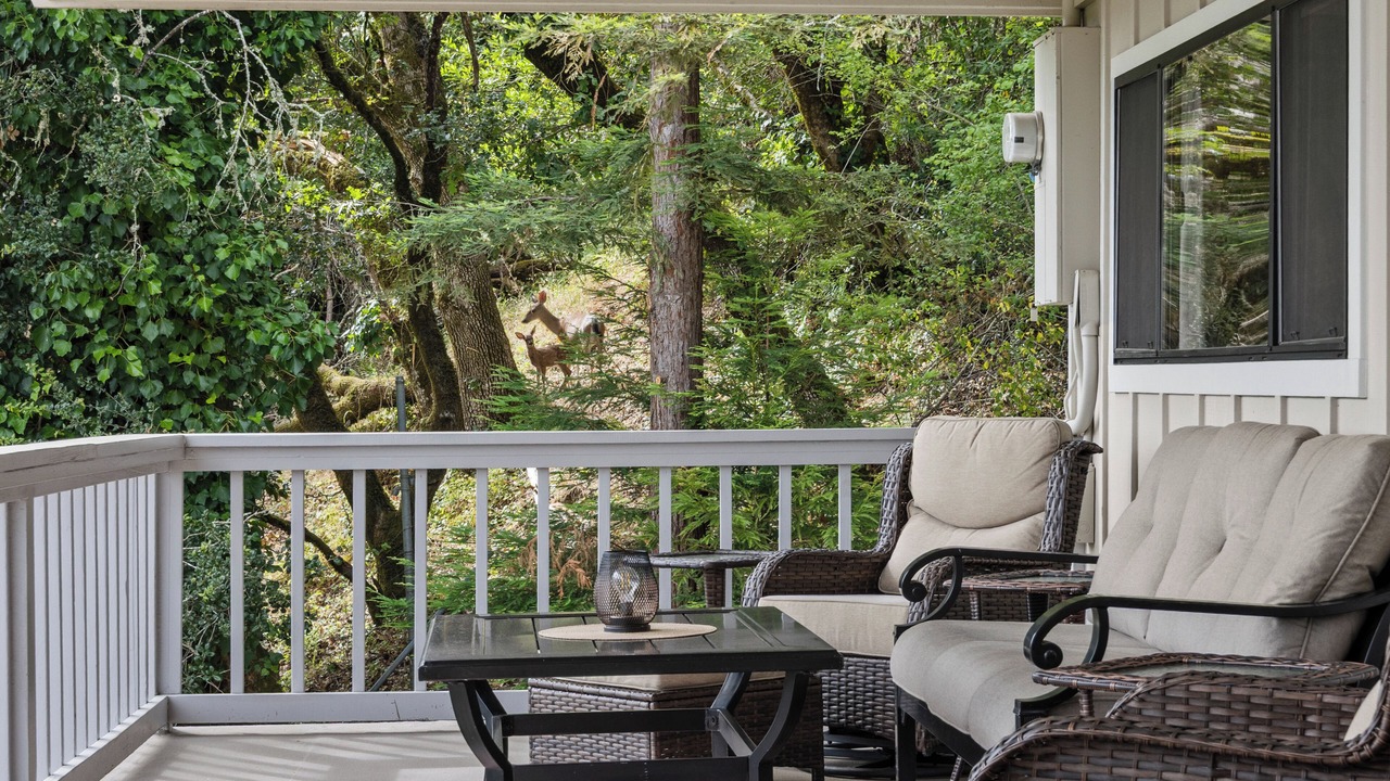 Photo of Outdoor in Santa Rosa