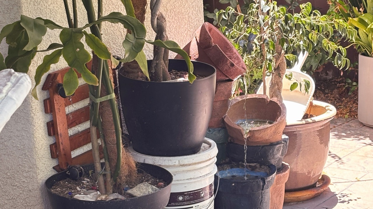 Photo of Outdoor in San Diego