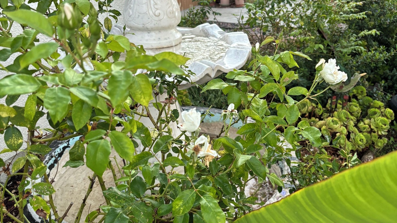 Photo of Outdoor in San Diego