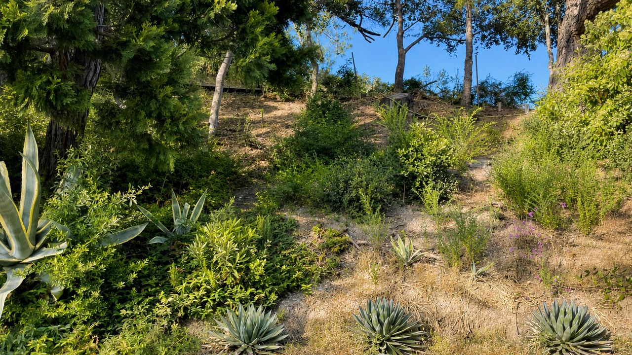 Photo of Outdoor in Monterey Ter