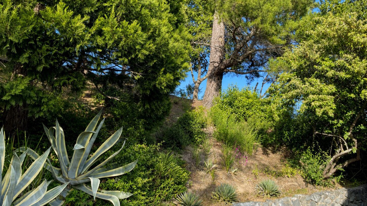 Photo of Outdoor in Monterey Ter
