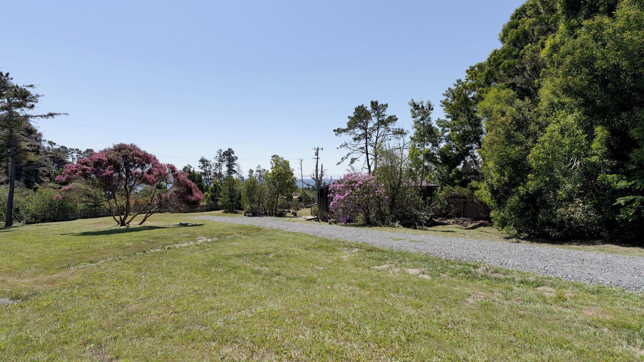 Photo of Outdoor in Gualala