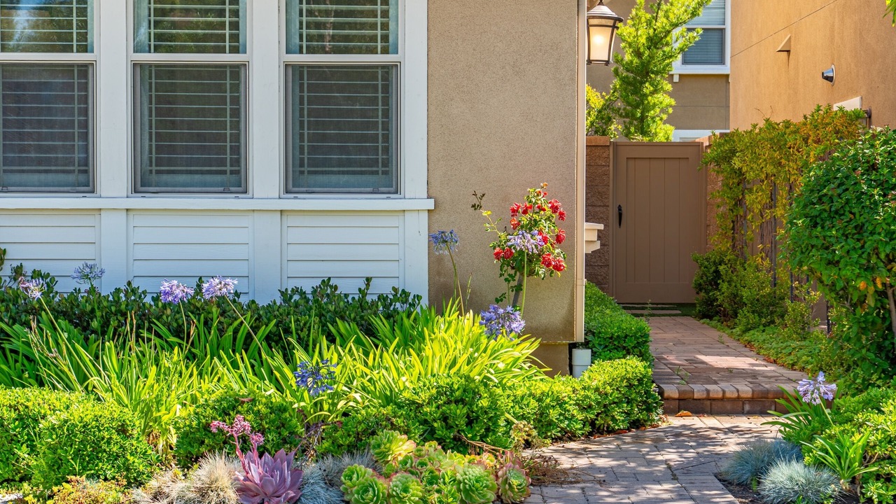 Photo of Outdoor in Lake Forest