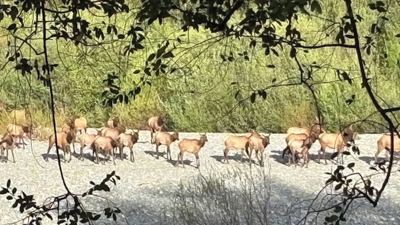 Photo of Others in Brookings
