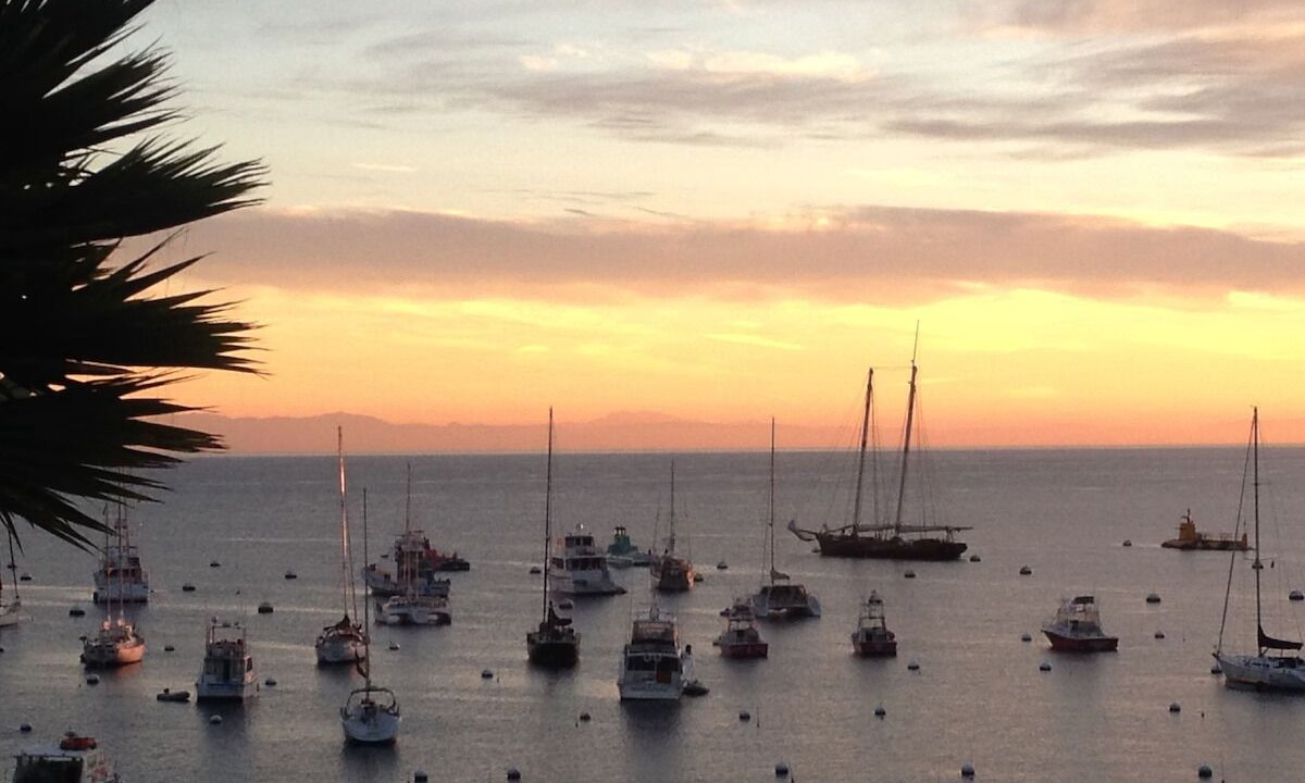 Photo of Others in Avalon