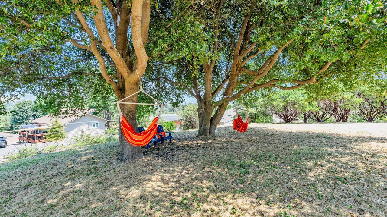 Photo of Outdoor in Groveland