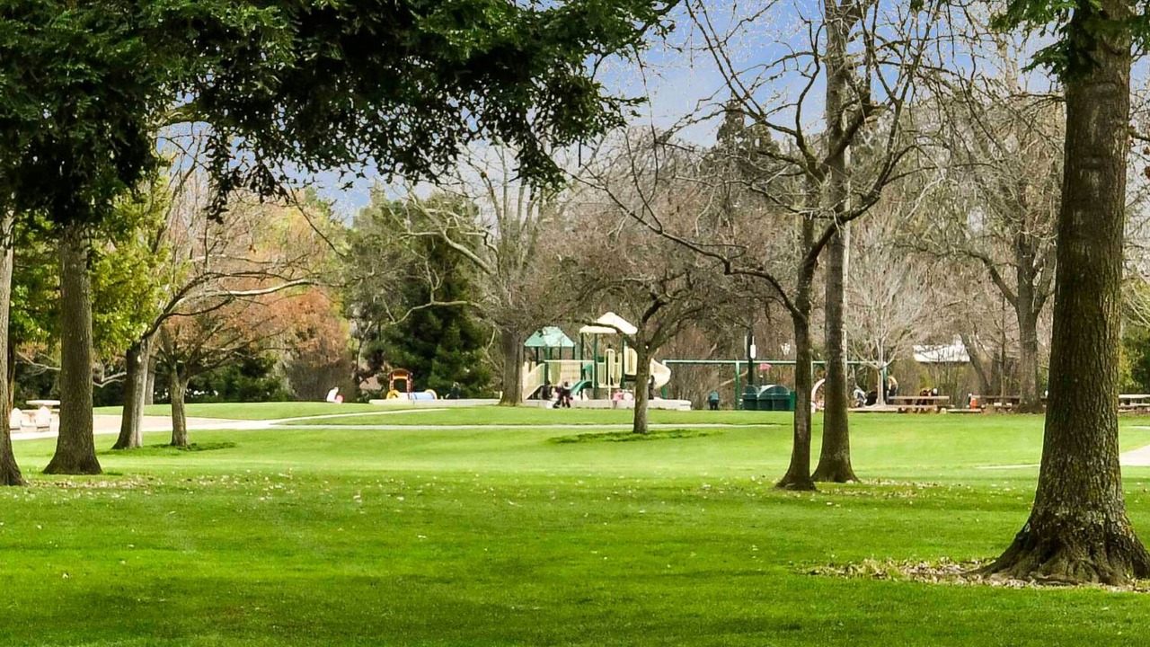 Photo of Outdoor in Walnut Creek
