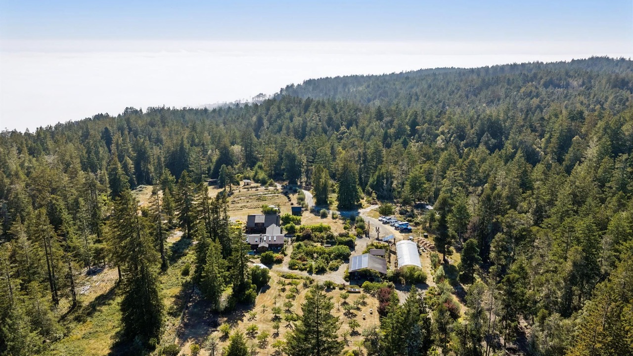 Photo of Outdoor in Gualala