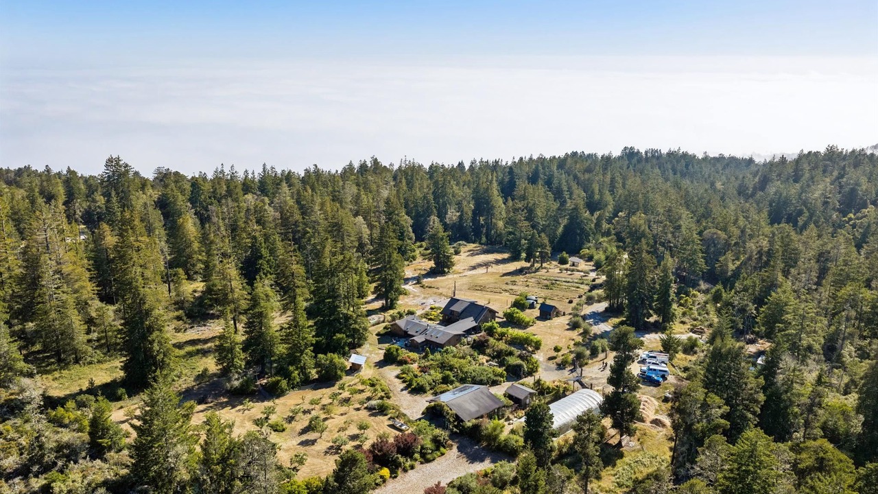 Photo of Outdoor in Gualala