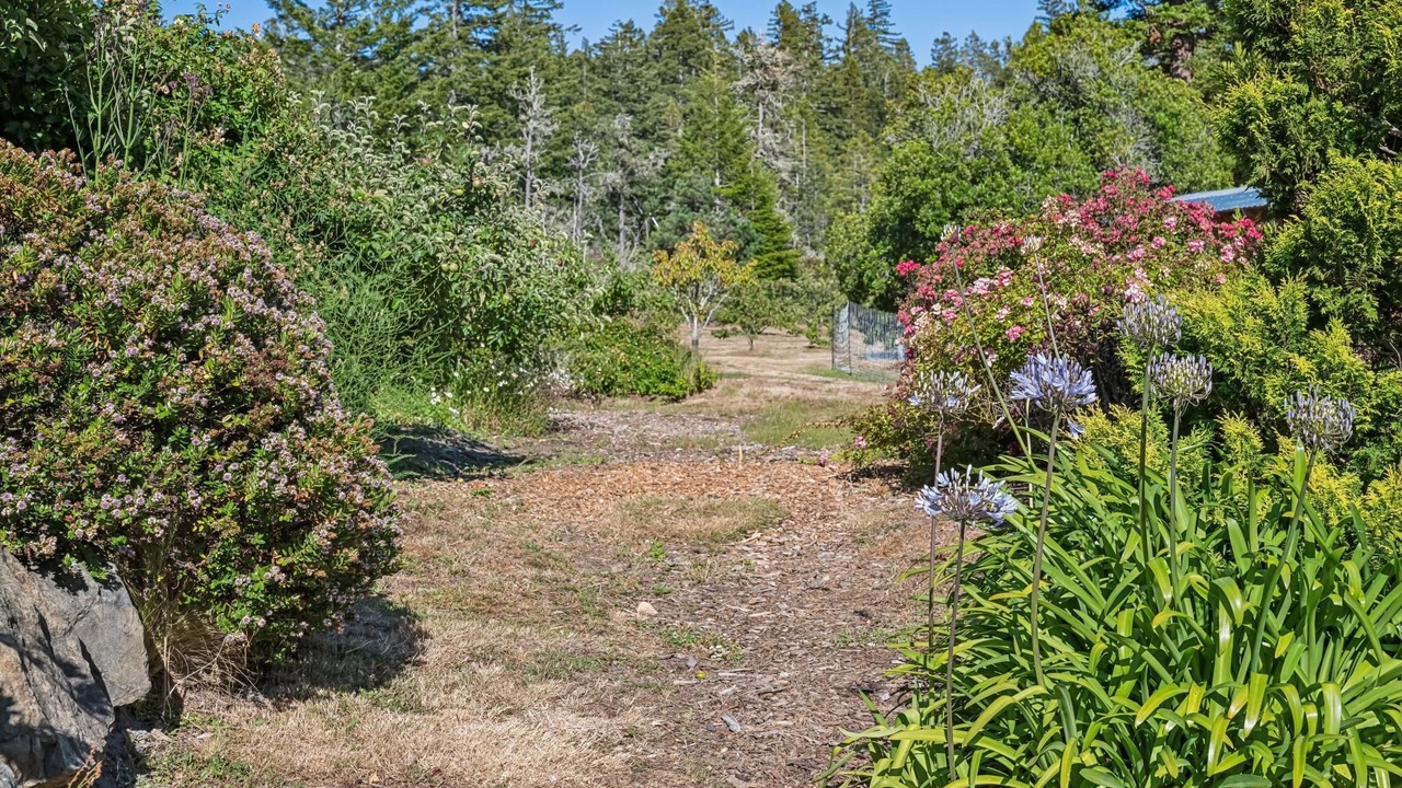 Photo of Outdoor in Gualala