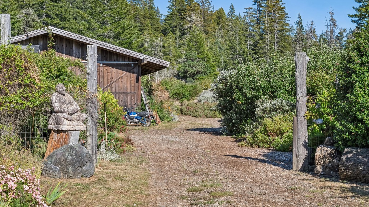 Photo of Outdoor in Gualala