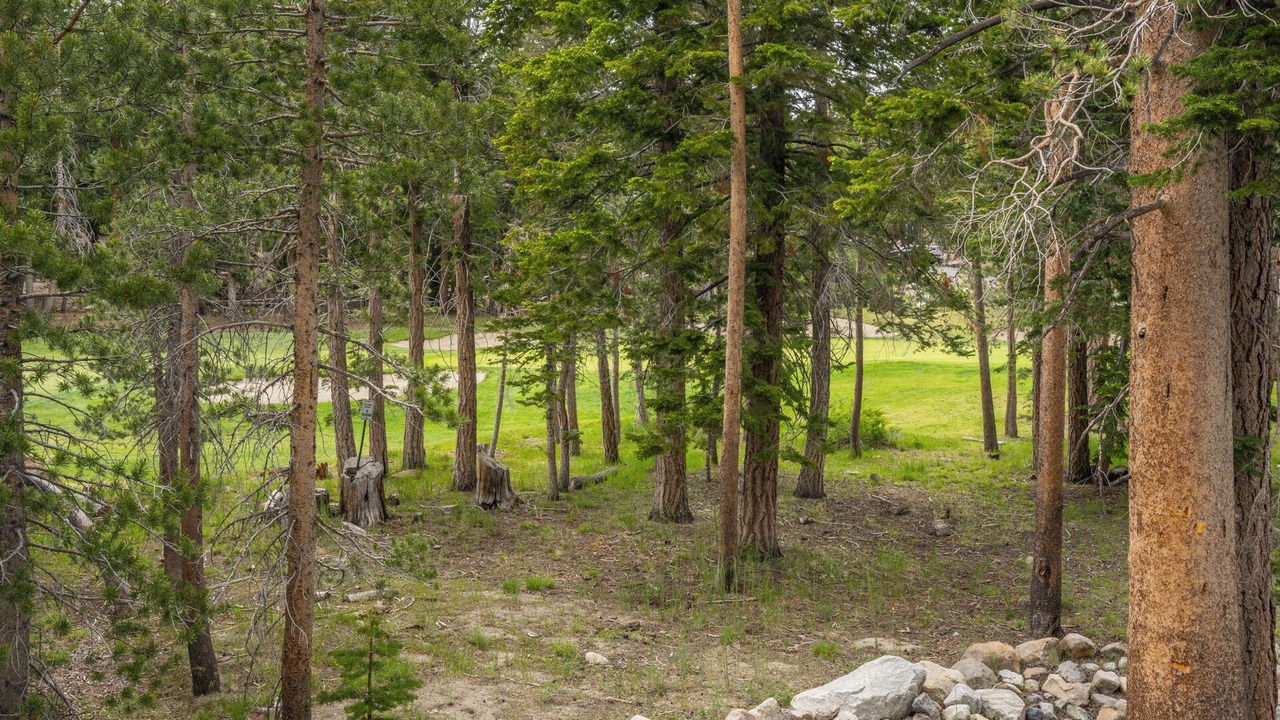Photo of Outdoor in Woodwinds